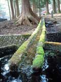 檜峯神社の湧き水
