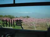芦川村営バスの車窓