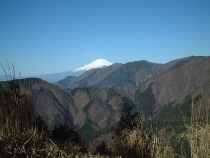 大倉尾根からの富士山