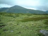 雲ノ平アルプス庭園